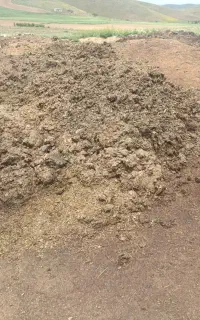 کود حیوانی (گوسفند)