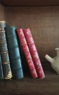 پنج جلد کتاب جلد چرم فرانسه