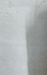 موکت