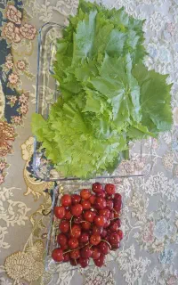 گیلاس تک دانه و گه لا میوی محلی ناسک و جوان