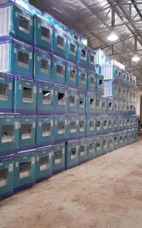 کولر آبی(در یادگارکالا)