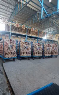 قالیشویی معروف گلرنگ