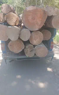 خریدفروش چوب