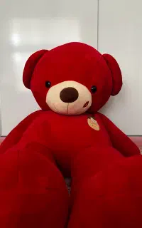 خرس شاسخین