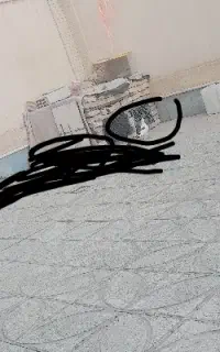 کفتر گم شده
