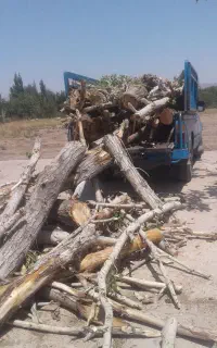 خدمات خرید و برش انواع چوب تسویه سر باسکول