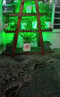 استند چوبی