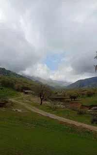 کارگر کشاورزی