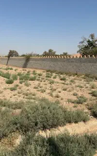 زمین باغی اصغر اباد