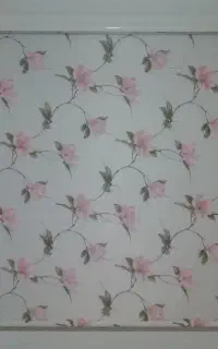 پرده زبرا