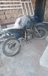 معاوضه تریل باهندا