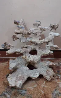 صخره طبقاتی اکواریوم آب شور