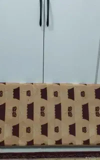 تشک خلیجی
