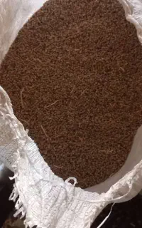 گاودانه ونخود زرد همان  لپه