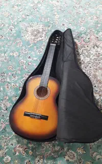 گیتار ایرانی