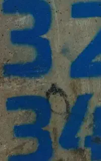 فلش