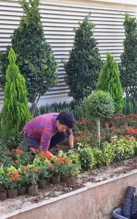 خدمات باغبانی گلکاری بازسازی باغچه تعویض خاک گلدون