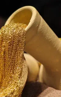 ثبت نام میلی گولد