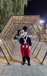 اجاره تن پوش عروسکی