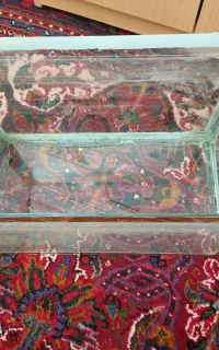 اکواریوم ماهی  (دست دوم)