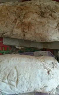 پنیرموتال
