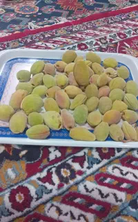 سلام بادم تریپل کل نازک درجه ۱