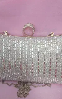 کیف مجلسی