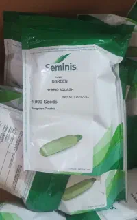 کدو دارین امریکا و خیار خطی  نوبل هلند