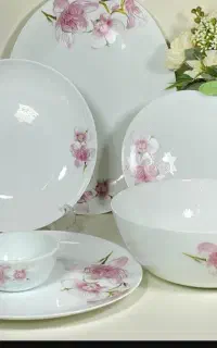 آرکوپال ۲۴ نفره