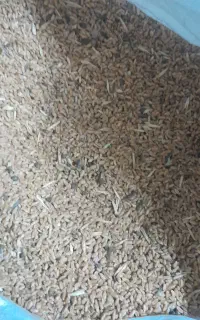 یک تن گندم برای فروش دارم بهمراه ۹ کیسه کود