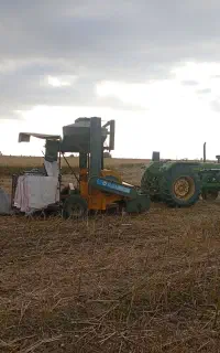 به یک کارگر خلال زن نیازمندیم