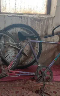 دوچرخه