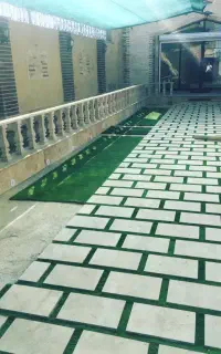 چمن نو ودسته دوم