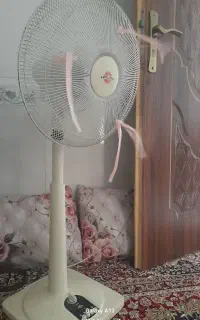 نتکه پایه بلند