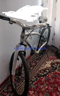 دوچرخه تی آر سایز 29