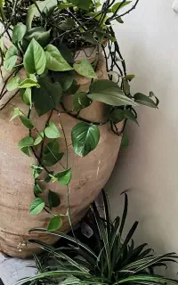 خمره قدیمی