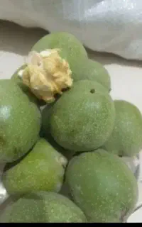 گردو و دستگاه پوست کن هم موجود