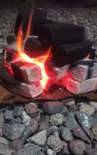 زغال کبابی فشرده