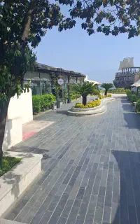 صندوقداد