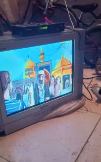 تلویزیون