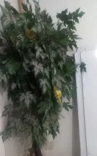 درختچه مصنوعی با نمای کاملا طبیعی