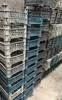 سبد ۳ کیلویی دسته دو
