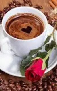 کتاب فال قهوه و تاروت و سرکتاب