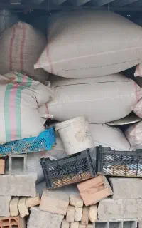 کاه نرمه گندم تازه