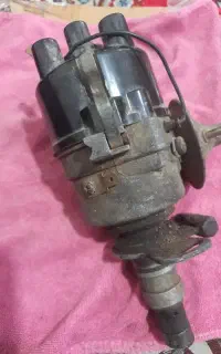 دلکوکلکسیونی