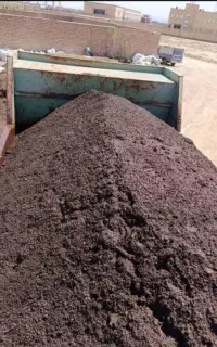 کودگاوی