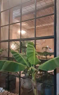 استخدام کباب زن و کمک آشپز ایرانی در بندرعباس