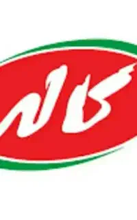 استخدام راننده نیسان