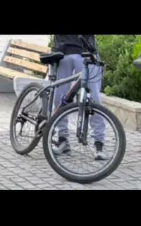 دوچرخه دزدیده شده