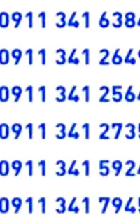 09113416384